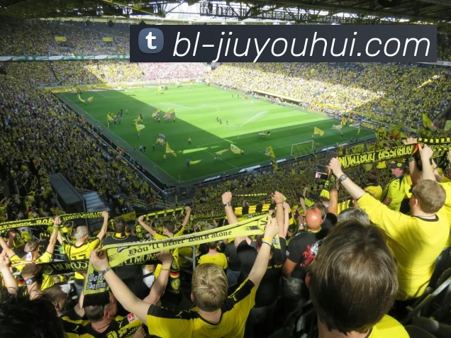 九游会J9官网APP 体育赛事宣传图